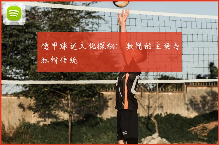德甲球迷文化探秘：激情的主场与独特传统
